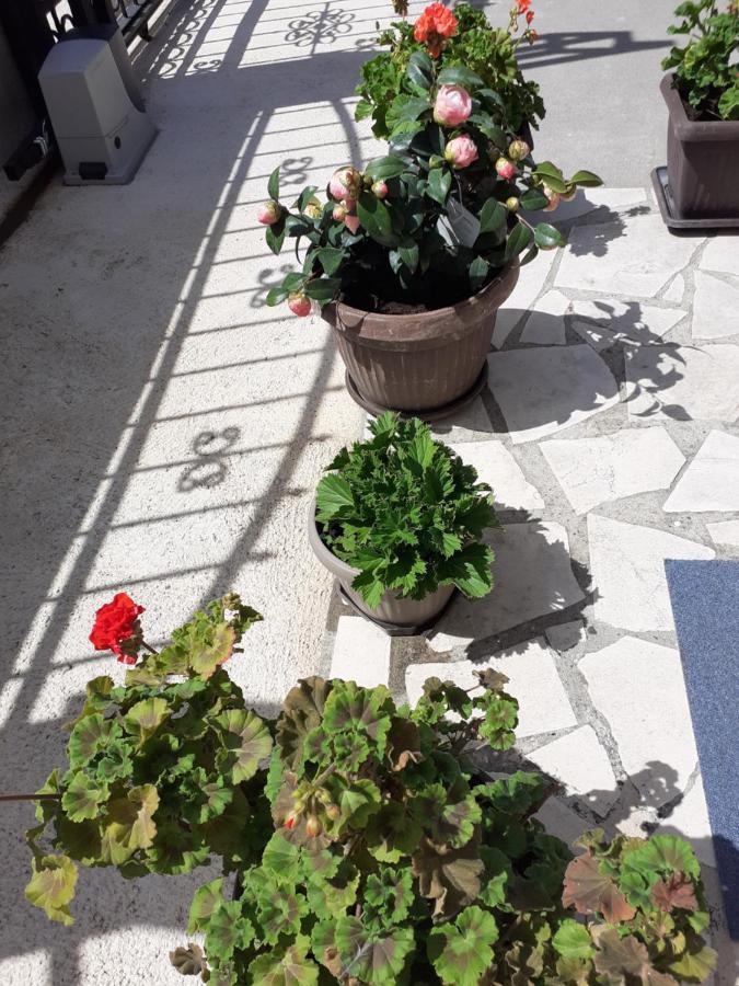 Apartment K2 Radanovići Zewnętrze zdjęcie
