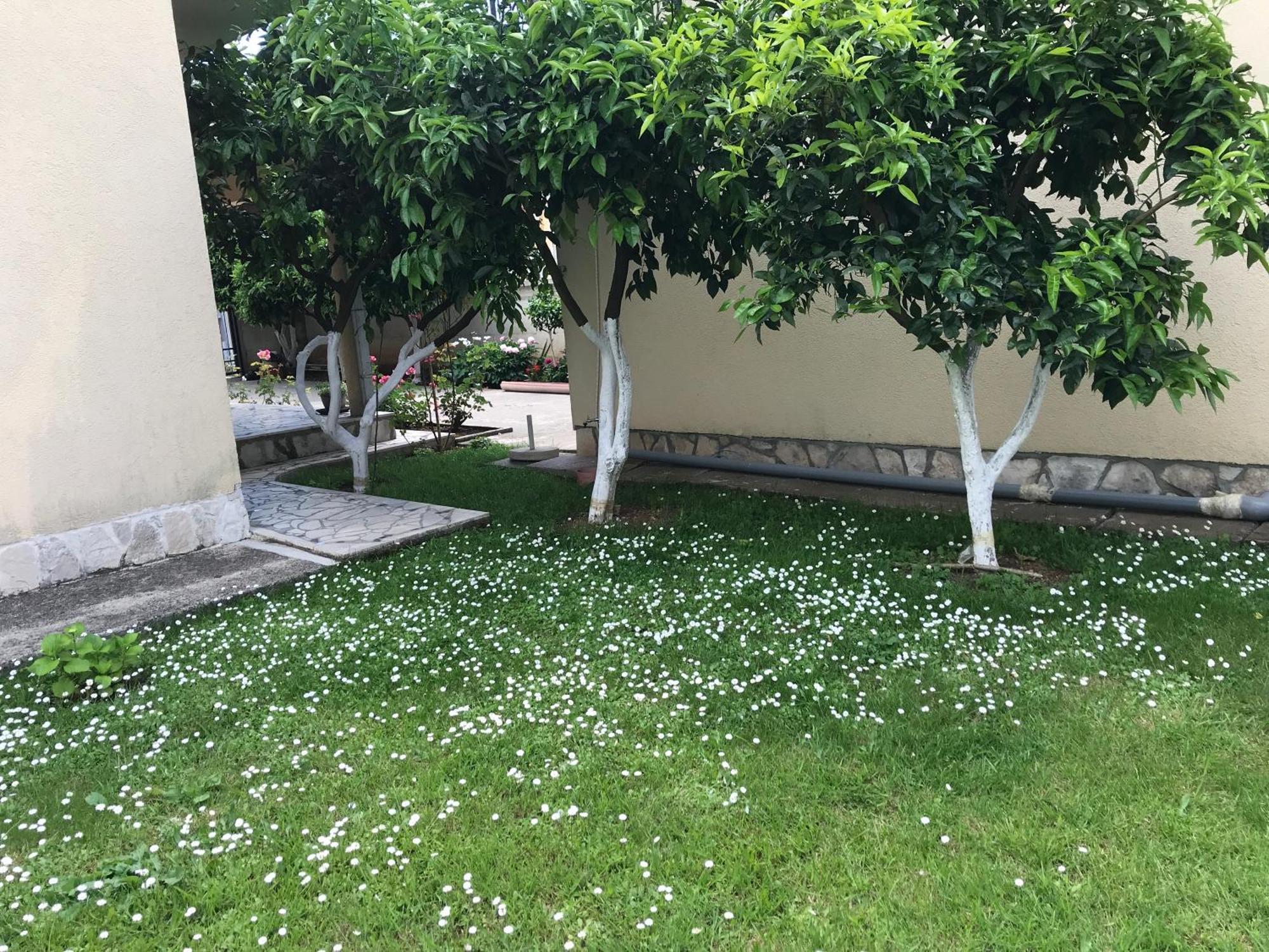 Apartment K2 Radanovići Zewnętrze zdjęcie