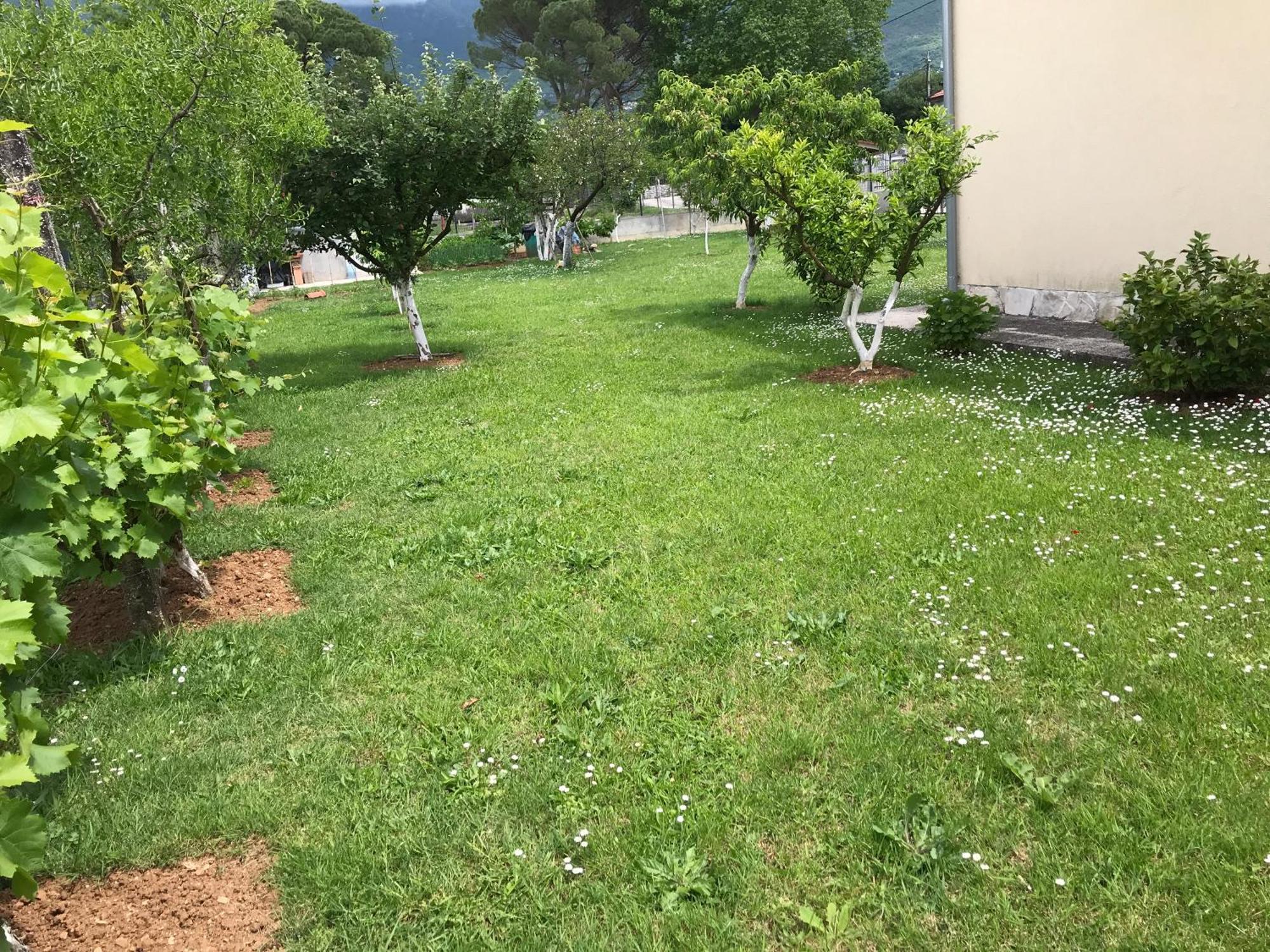 Apartment K2 Radanovići Zewnętrze zdjęcie